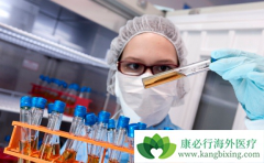 CAR-Tϸ�����Ƶļ۸����ϸ����ֲ��Ȳ�������