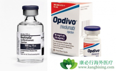 Opdivo��ŷ���֣���Ϊ��һ���ڹ������е�PD-1��ҩ��