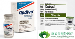 PD-1���Ƽ�Opdivo����֮������������򵽣�