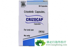 ������(crizalk)���������ĸ��汾Ч�����