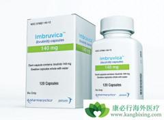 �ϼ�����³����(IBRUTINIB)�����Խ�����Ч���ȷ��ƺ�