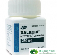 ������(Xalkori)���ƶ�ͯ��֢���µ�ͻ��