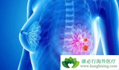 ��������(TYKERB)�����������ٰ�����ϣ�޴�����