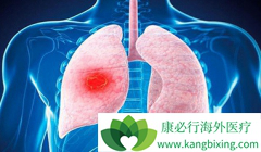 ���޿�/�������������Ʒ��Էΰ���ת�ƻ��ߵ���Ч�ʸߴ�74%