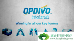 �Ѿ����е�PD-1���Ƽ���ŷ���֣��۸��Լ�Ƕ���Ǯ��