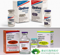 PD-1���Ƽ���CAR-Tϸ���������ٴ�Ч���Ϻõİ�֢�����Ʒ�