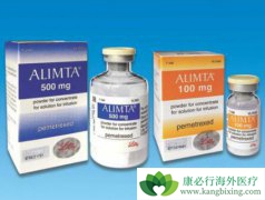 ��������̩(Alimta)����������Ӧ��Ԥ�������Ʒ���