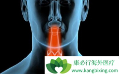 ̩����/�����鵥������ʳ���۰���Ч��EGFR�����й�