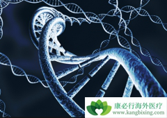 �෢�Թ�������ʳ��Ҫȡ���ڻ�������״̬