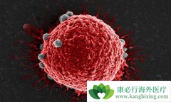 ��������ҽ���Ŷ��·��ָ���֢ҽ���ṩ����˼·