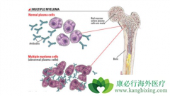 ������������������˹������ܻ���