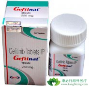 ӡ������ɳ(GEFINAT)�۸������Ч�Ƿ�����б�֤��