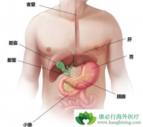 ���ٰ����������ȡ���ڻ�������������״��