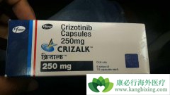 ���ÿ�������/����������Ӿ��ϰ�Ӧͣҩ��