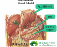 ��ʹ�Ļ���Ӧ�û����������ٰ���