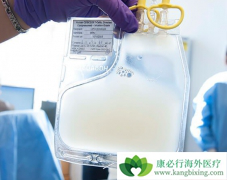 CAR-Tϸ���Ʒ�Ŀǰ����ȱ���Ǽ�������ϸ�����ӷ籩