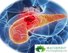 ���ٰ����ƺ������ؼ��������ʱ����Ӱ��