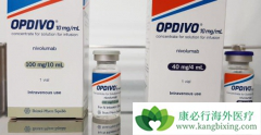 PD-1���Ƽ�Opdivo��ŷ���֣�����Keytruda�����ڹ�������