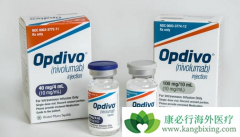 ֪��PD-1����Opdivo��ŷ���֣����������й���������