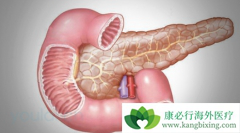 ���ٰ����ƺ�����Щ�����öԻ������˺�