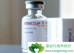 �������������������Ը���TP53Ұ����ֱ��������PFS��OS