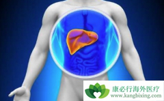 �ΰ����Ƶ��ֶ�����Щ?��Щ�ΰ���Ҫ��������