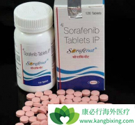 ӡ�ȶ༪��/�����������������ڸΰ�����ʲô����