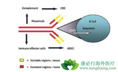 ���޻�/���������������Ʒǻ�����ܰ�������ҩ