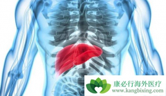 ʲô�Ǹΰ��������ƣ��ΰ�������������������