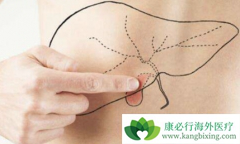 �ΰ����������ǲ��������Ƹΰ�����ѡ����