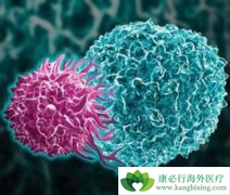 CAR-T��Ч�ú���ҽ�ƽ��방֢�����½׶�