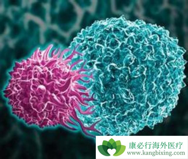 ����ҽ��