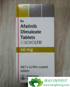 ��������(AFATINIB)�������ӷΰ�����һ���������