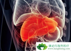 �ΰ����ڵ�������������������л��������