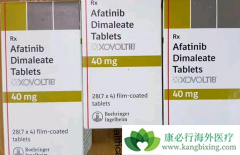 ����ͷ���۰����߷��ð�������(AFATINIB)�ܷ����DFS