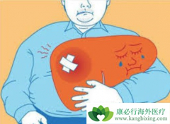 �ΰ������ܻ��ã����ڸΰ����κ���