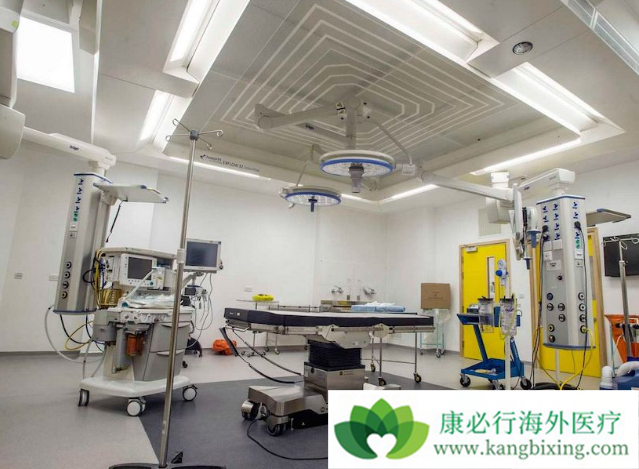 ҽ������