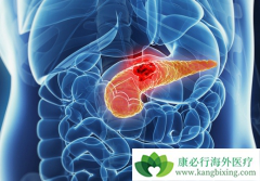 �������ٰ�֢״���ֺ��������ٰ��ķ���