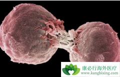 �����ܰͰ�ԭ������Щ���ܰͰ����κ���