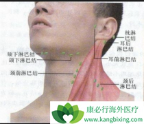 ���ѡ���������ܰͰ����Ʒ���