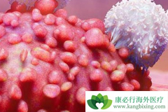 ������ϸ��ת�ƺ���ܰͰ����Ʒ�������Щ