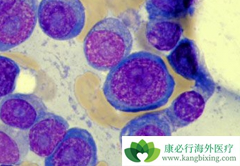 ���ǶȰ�/�����Ƕ෢������ά��������ѡҩ��