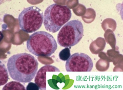 ������/����������������Ѫ�����Ƶ���Чҩ��