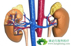 ���������Ʒ�������Щ�����������ܻ��ã�