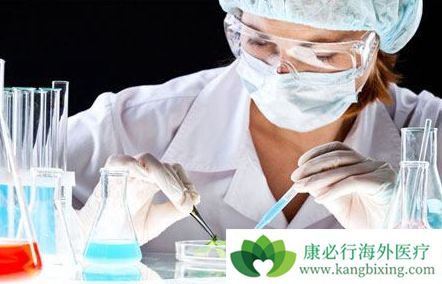 ƻ������������