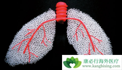 ʲô���ط��Է���ά�����ٴ��Ϸ���ά��������ƣ�