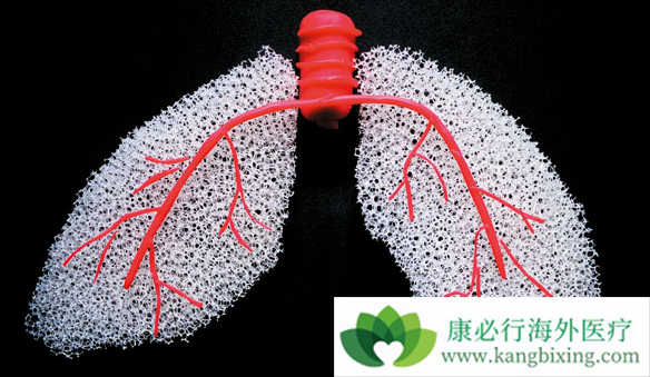 �ط��Է���ά��