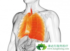 ����ά����֢״����Щ�����ڷ���ά����ô���ƣ�