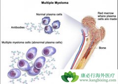 �෢�Թ��������ڻ��߻��ܻ��ã���������ƣ�