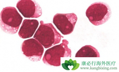 ��Ѫ�������Ʒ������ļ��֣��������Ʒ����Ƚ���Ч��